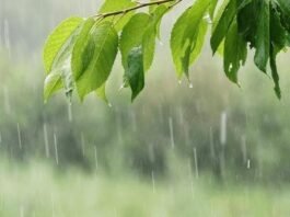 Monsoon Alert: Heavy Rain Expected in Rajasthan, Odisha, Kerala – IMD Issues Warnings