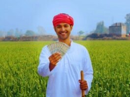 PM Kisan Samman Nidhi Yojana 20th Installment: Farmer Registration Missed? No Payout Without Farmer ID