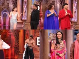 Bigg Boss 19 Contestants 2025: Meet the 16 Celebrities Entering the House