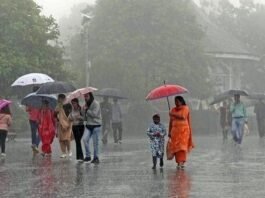 Bihar Weather Today: Heavy Rain, Thunder, and Storm Alert in Several Districts