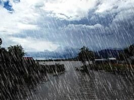 Heavy Rainfall in Andhra Pradesh and Telangana: Schools Closed, Alert Issued