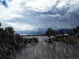 Madhya Pradesh : Heavy Rain Predicted in Gwalior, Morena and Six Other Districts