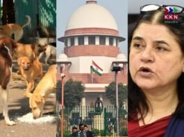 Maneka Gandhi Welcomes Supreme Court’s Order on Feeding Zones for Stray Dogs