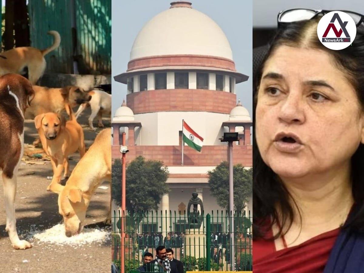 Maneka Gandhi Welcomes Supreme Court’s Order on Feeding Zones for Stray Dogs