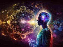 Neuroscientists’ Guide to Manifestation: 5 Proven Tips to Turn Dreams into Reality