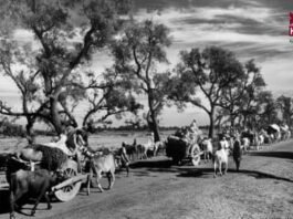 Sikh Leaders’ Clash with Jinnah: The Dispute Over Punjab During Partition
